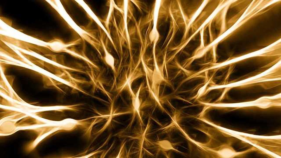 How Can We Make Brain Tumor Immunotherapy Effective? content piece image