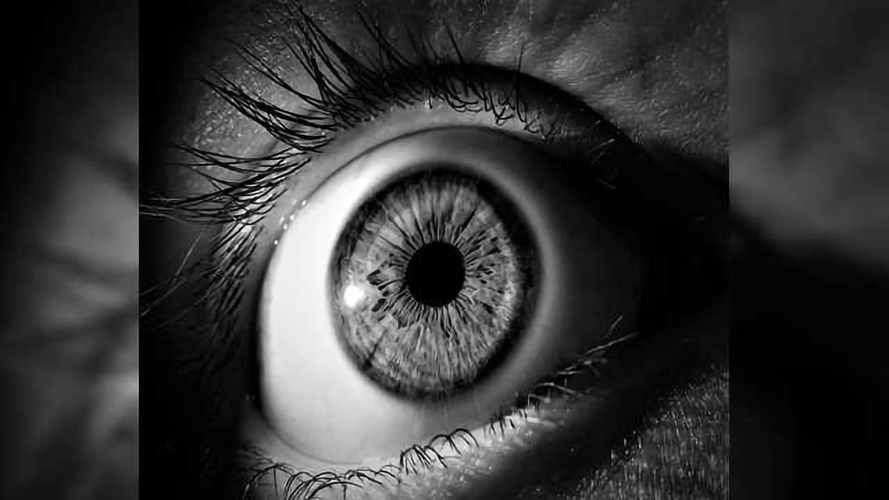 5.1 Million Dollar Funding Boost for Blinding Retinal Conditions