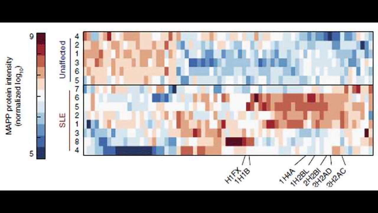 Cellular Dumpster-diving Enables Degradation Landscape Exploration