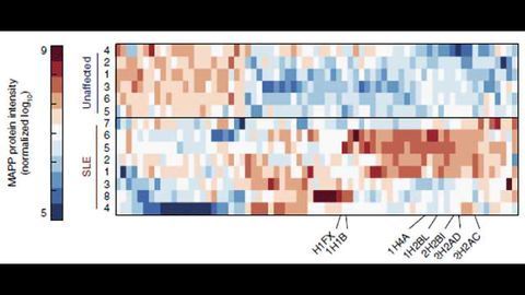 Cellular Dumpster-diving Enables Degradation Landscape Exploration