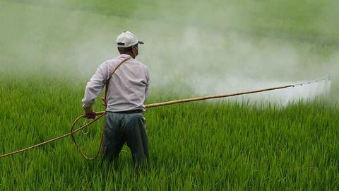 Gel Provides Protection from Pesticides