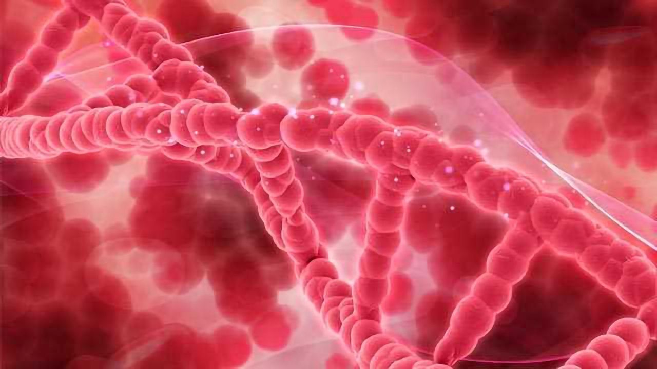 The Liquid Biopsy Trends Transforming Cancer Detection and Treatment