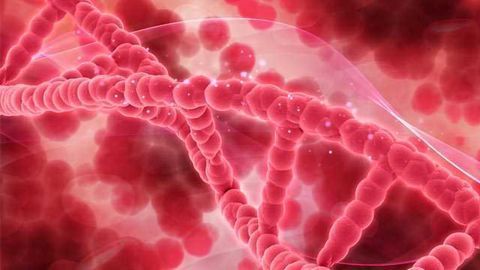 The Liquid Biopsy Trends Transforming Cancer Detection and Treatment