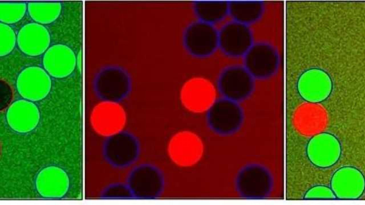 Detecting Harmful Molecules in Foods and Fluids