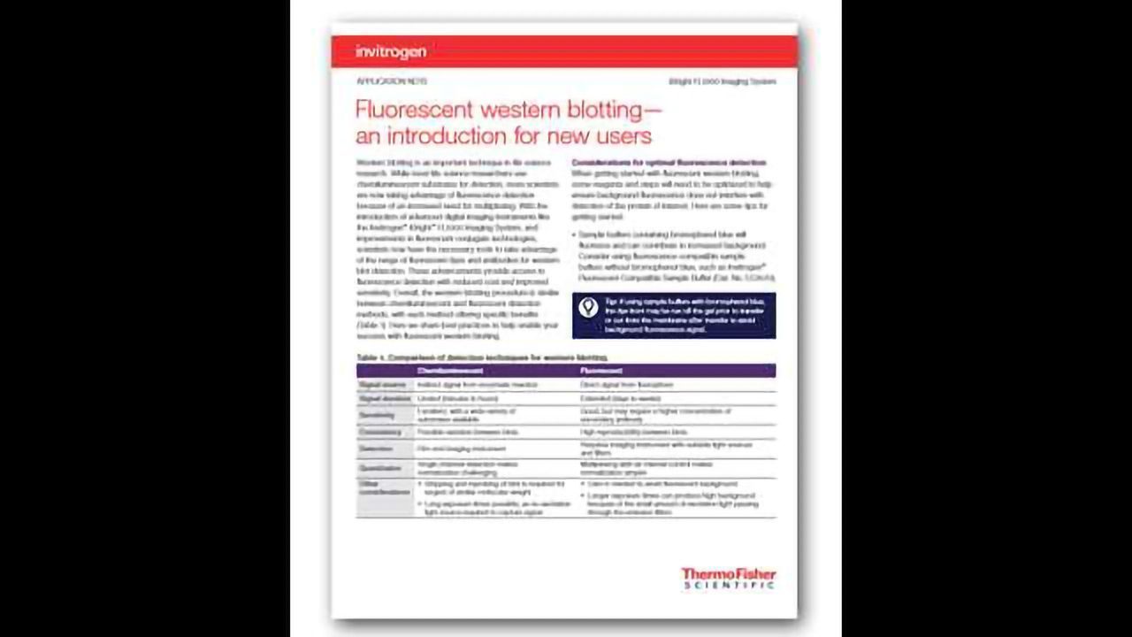 Fluorescent Western Blotting — An Introduction for New Users