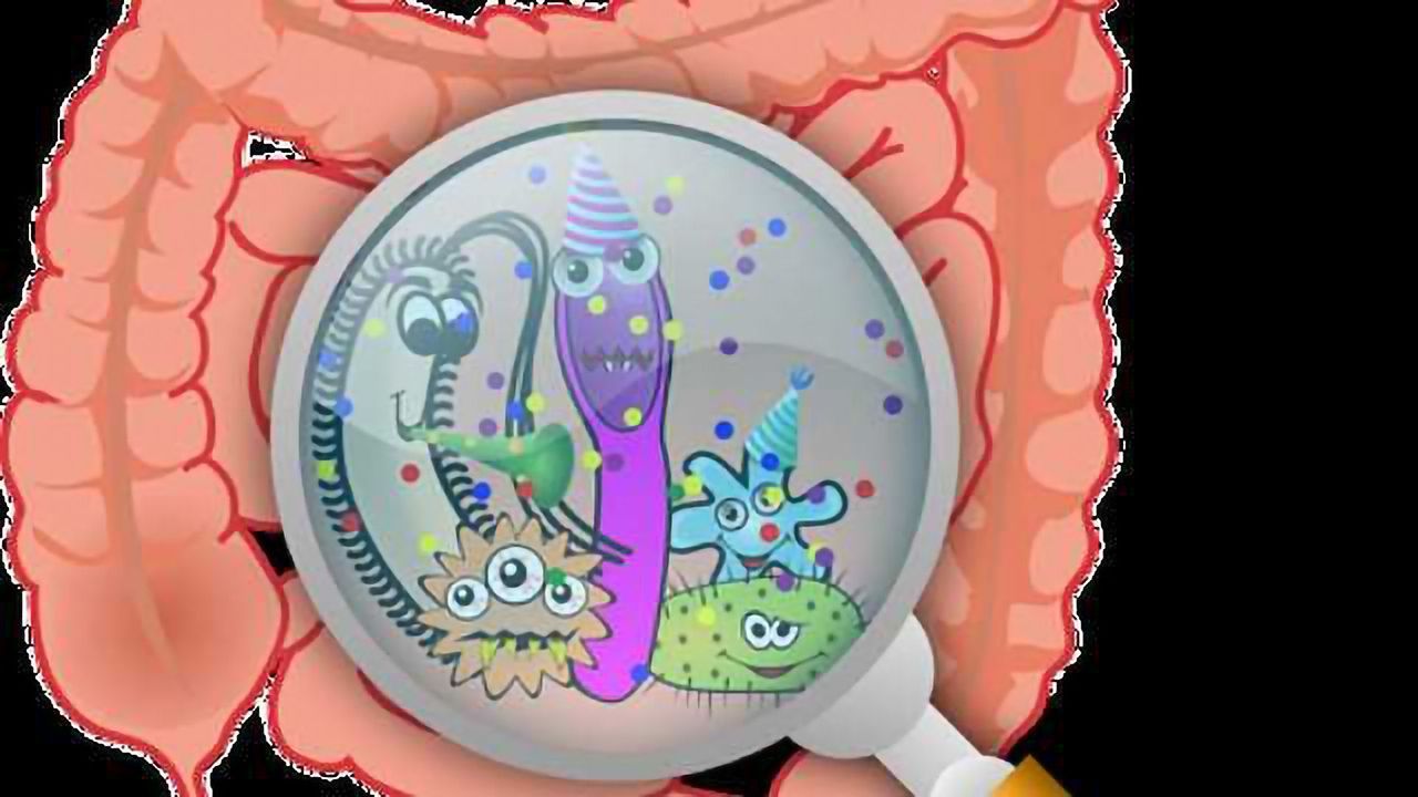 Gut Bacteria Recover after Antibiotics... Nearly