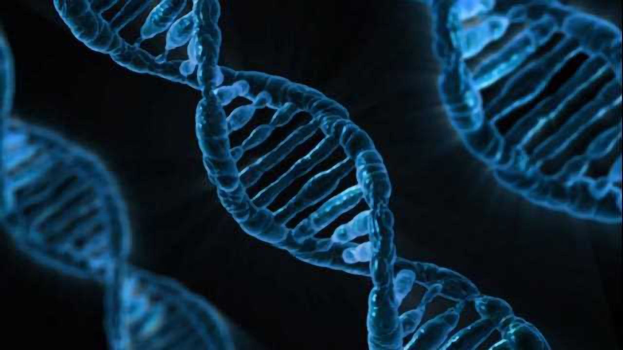 Summary of All Known Human Genes Involved in Human Cancer