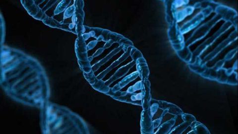 Summary of All Known Human Genes Involved in Human Cancer