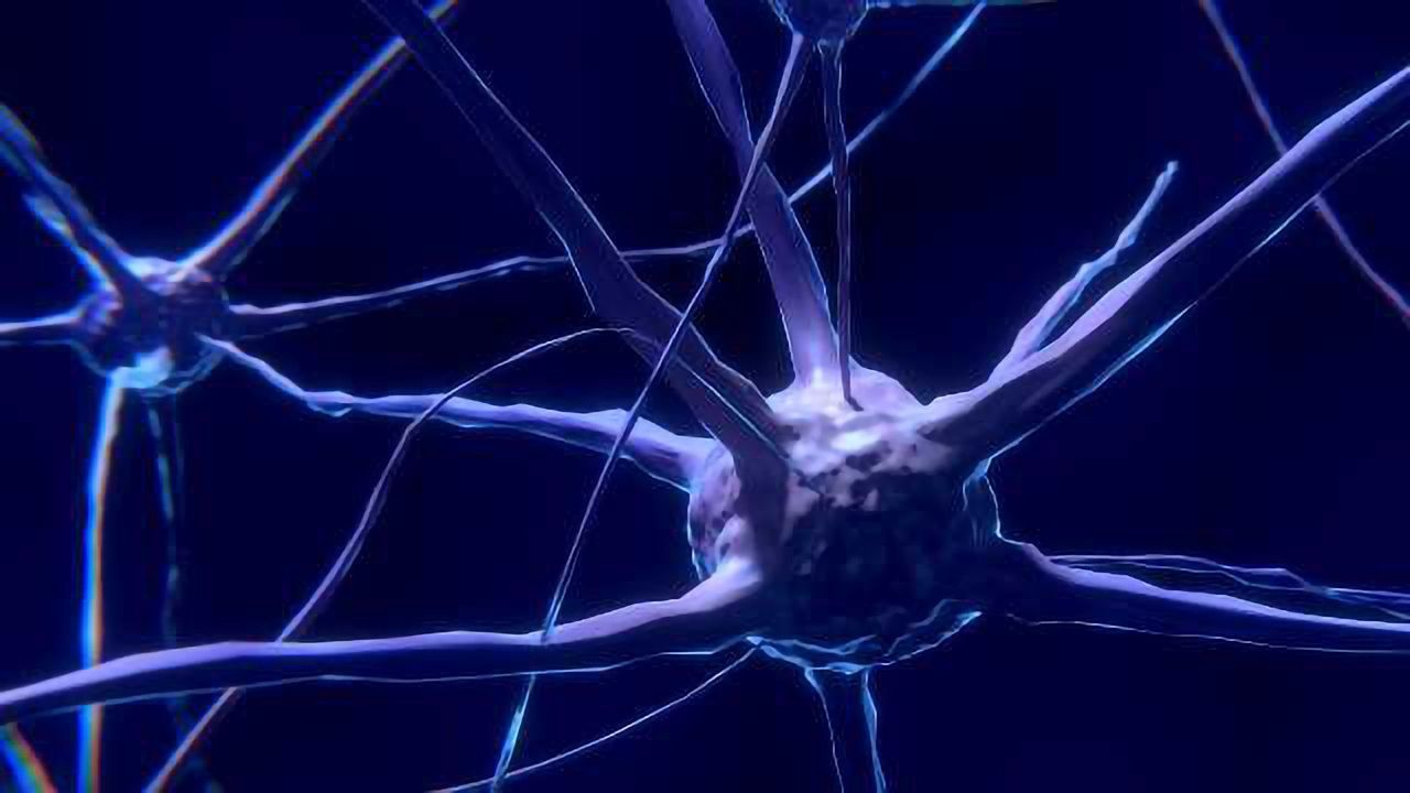 Normal Function of ALS and Dementia Gene Determined for First Time
