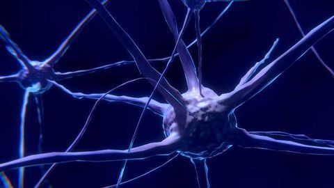 Normal Function of ALS and Dementia Gene Determined for First Time
