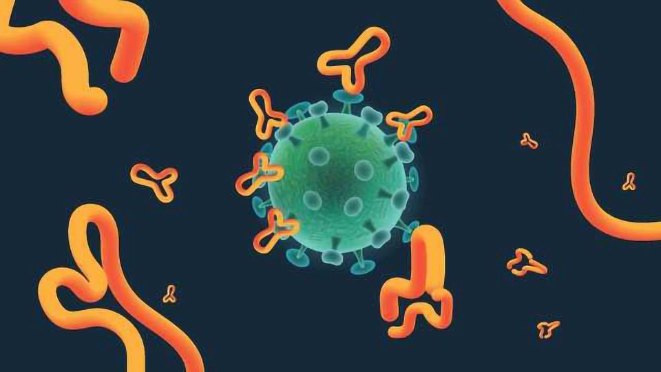 Shapes representing antibodies and a viral particle.