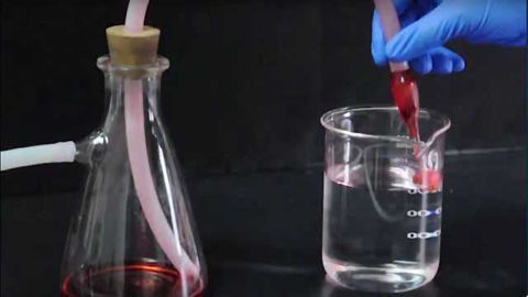 Wood Sponges that Soak Up Oil