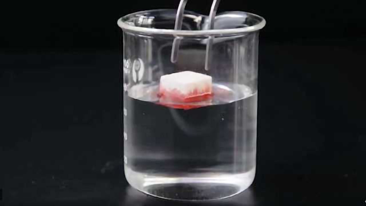 Clearing Oil Slicks With Wooden Sponges