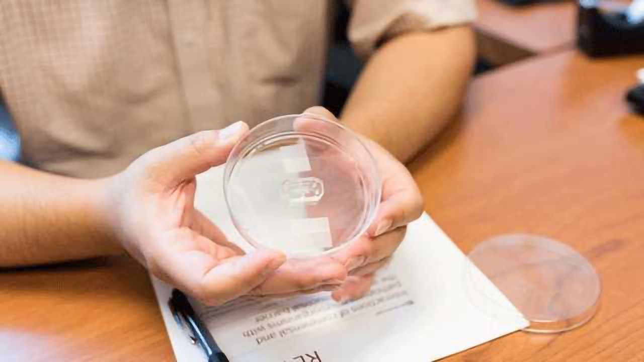 Intact Gut Barrier Essential for Probiotic Efficacy, Says Gut-on-a-chip Study