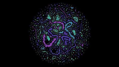 AI Keeps Quantum Computers in Check