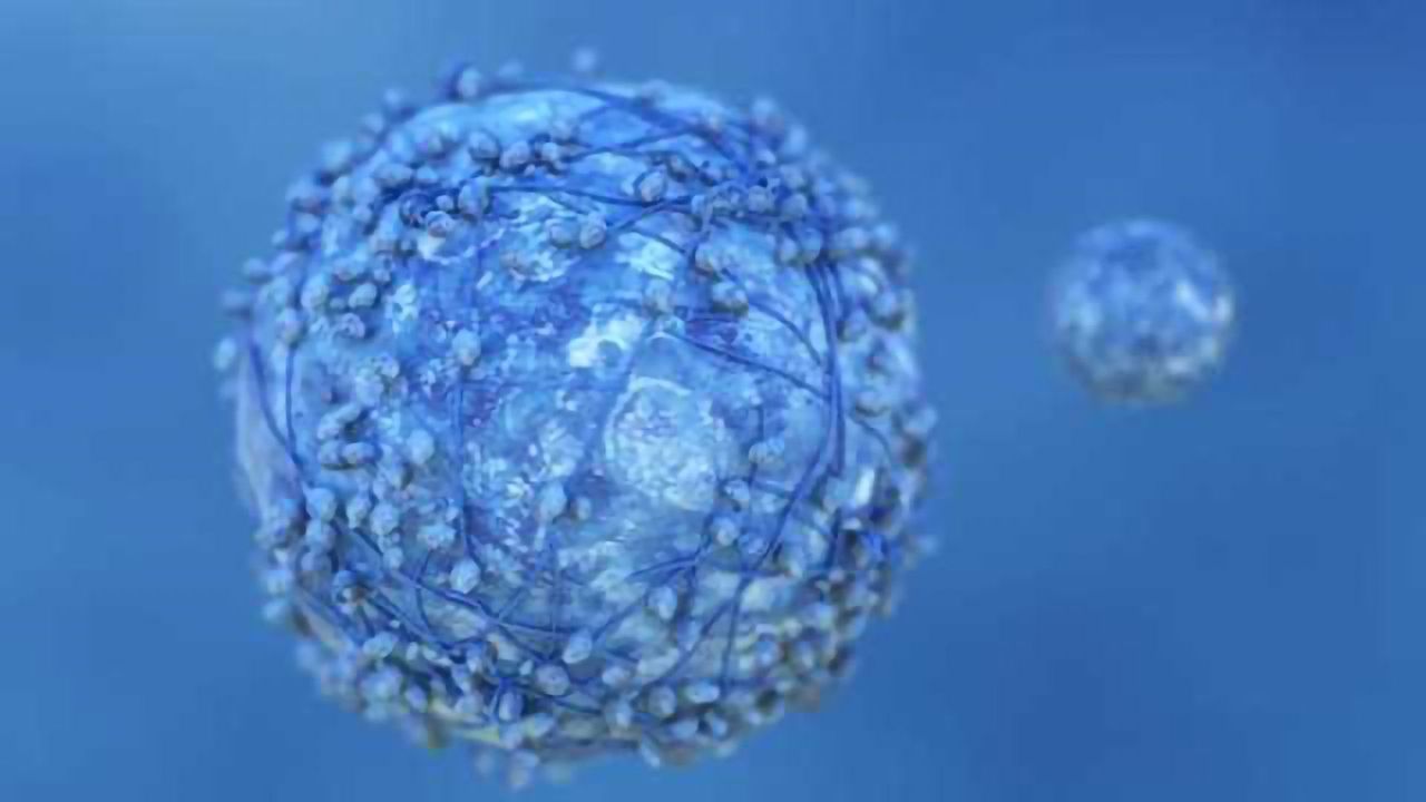 Cancer’s Most Deadly Assassin Exists in Every Cell