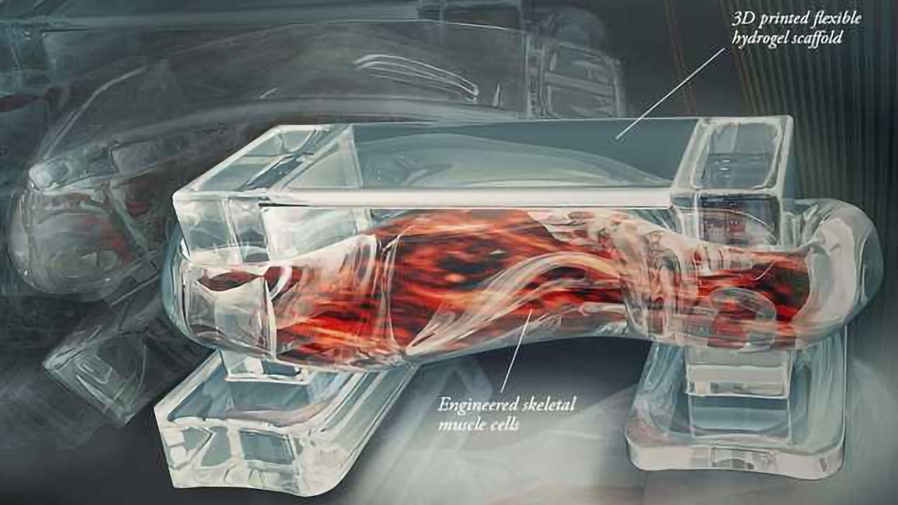Tiny Bio-bots Powered by Living Cells