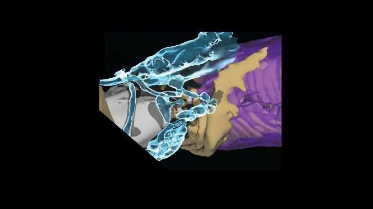 Astrocytes Can Alter Myelin Thickness to Change Neuronal Transmission Speed