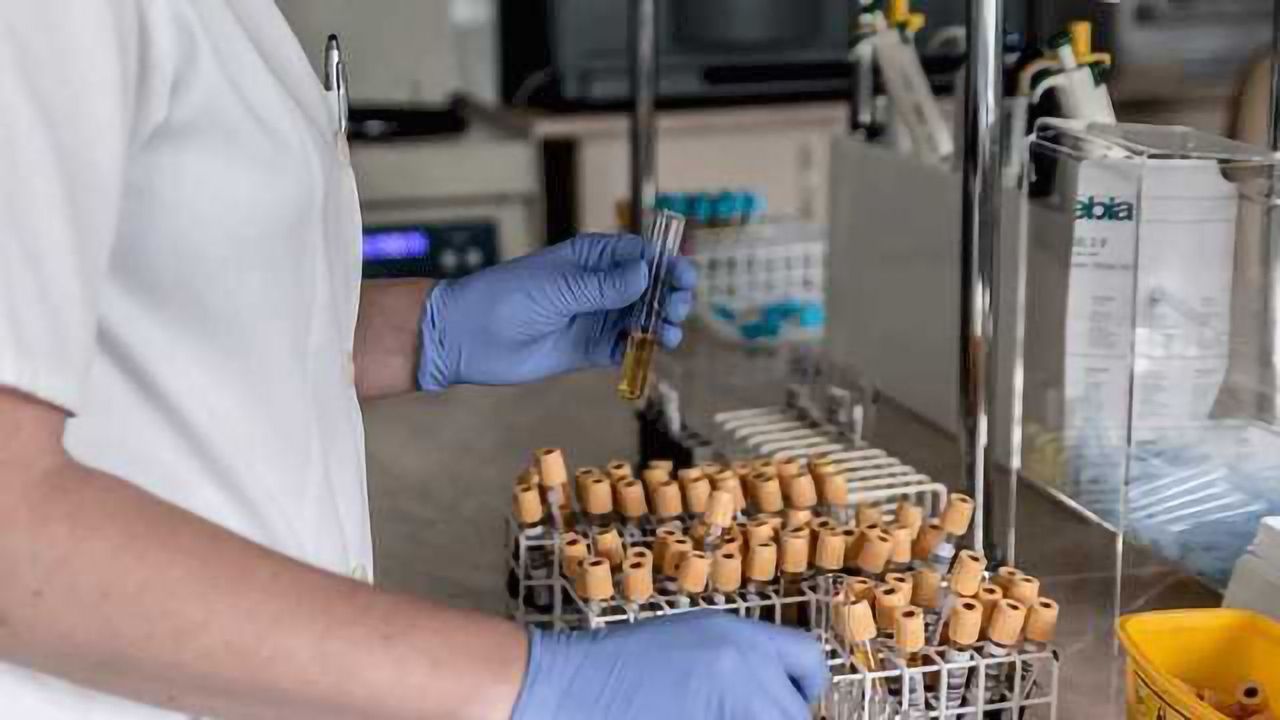 Seeking Biomarkers that Predict Immunotherapy Success