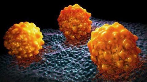 Novel Conjugates: Flexible, Stable & Potent Against Cancer
