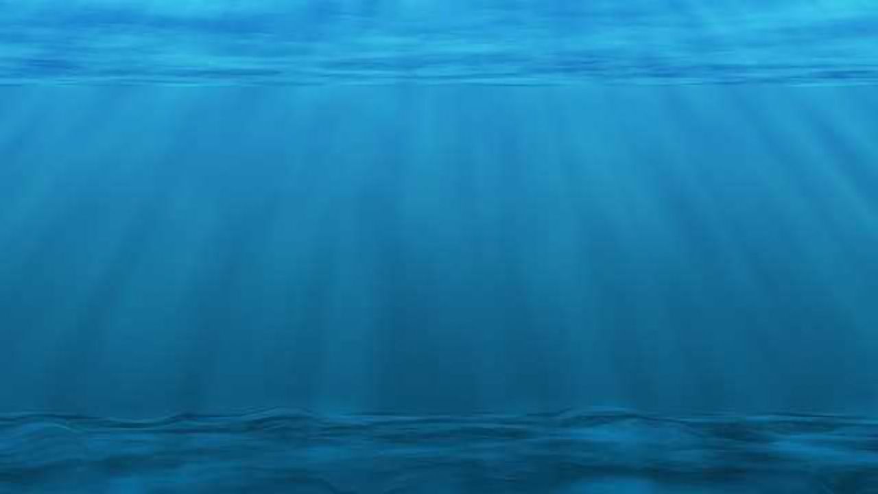 Effects of Ocean Acidification Raise Concerns