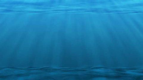 Effects of Ocean Acidification Raise Concerns