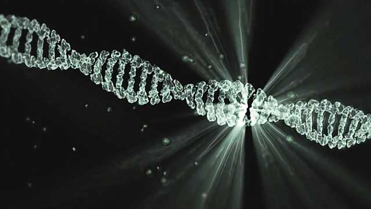 Will Immunity Cause Bump in the Road for Gene Therapy?