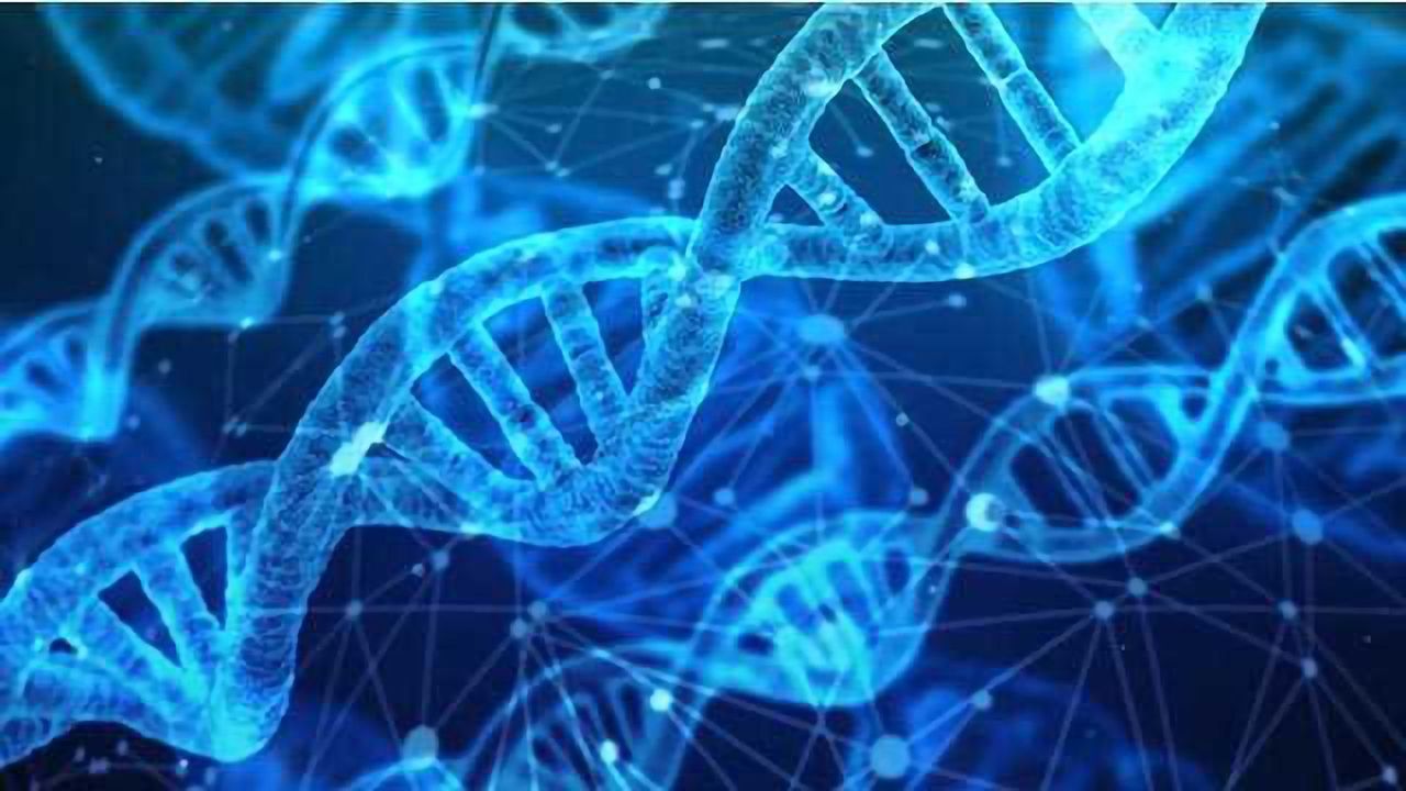 Scientists Call for Unified Standards in 3D Genome & Epigenetic Data
