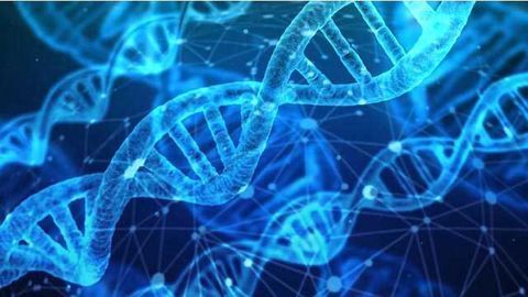 Scientists Call for Unified Standards in 3D Genome & Epigenetic Data