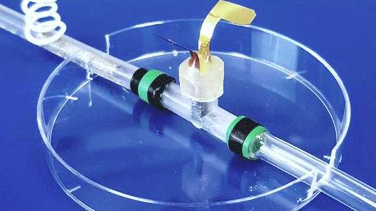 Modifiable Organ-on-a-chip Enables Real-time Cell Monitoring