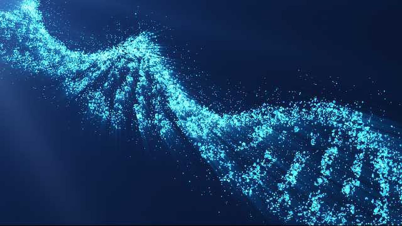 8 Steps to Successful SMRT Sequencing