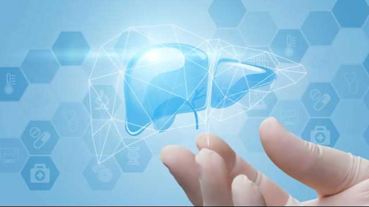 Liver Spheroids: A Major Step Towards Meaningful In Vitro Testing for Human Hepatotoxicity Potential