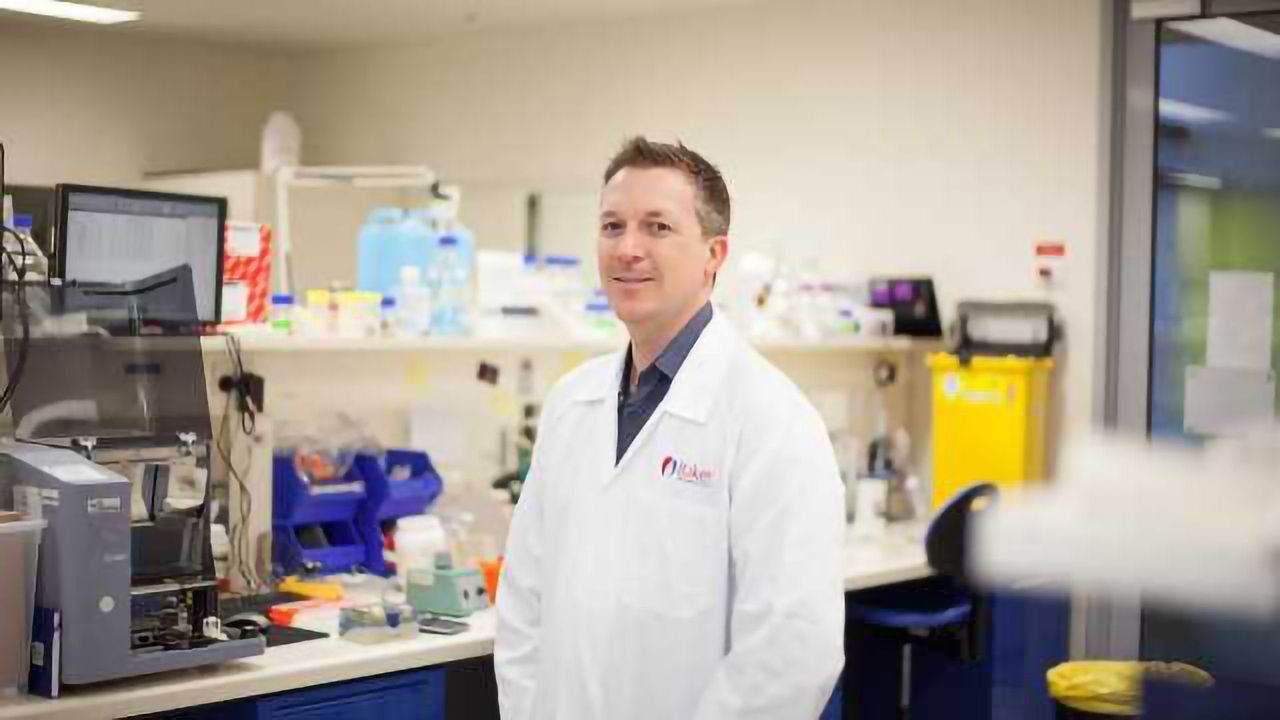Overactive Brain Signaling Leads to High Blood Pressure