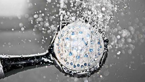 Your Shower Head Slime is Alive!