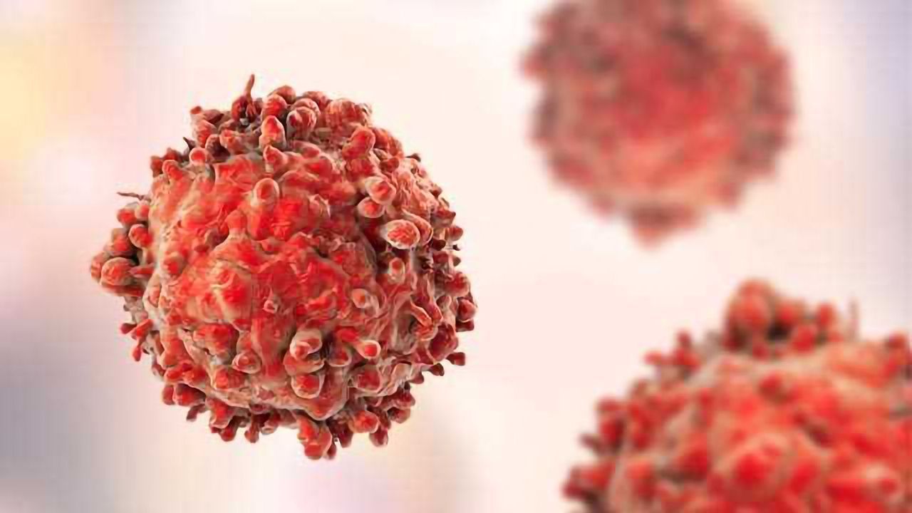 How Cancer-causing HPVs Evolved
