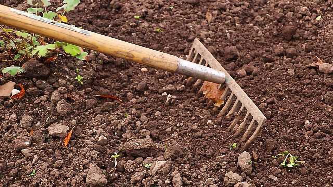 Soil Bacteria Primed to Consume Greenhouse Gas