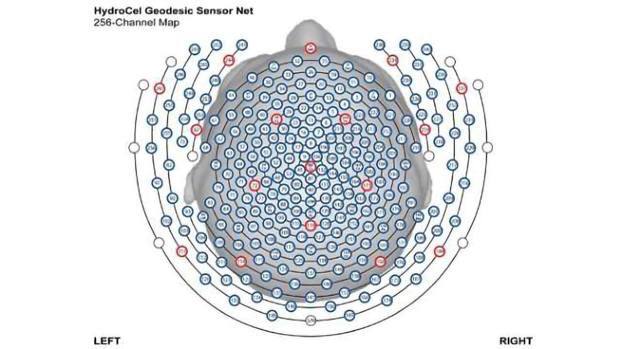 Making Sense of Brainwaves