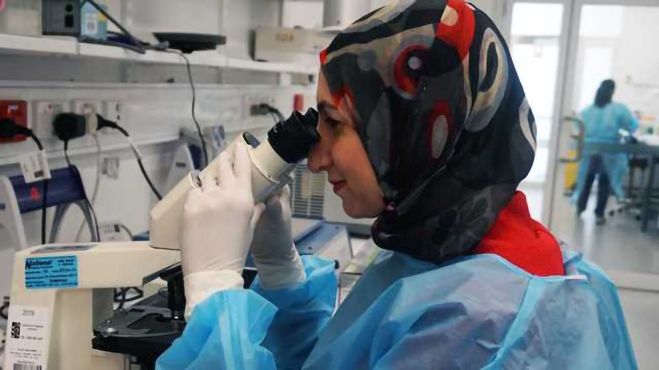New Genetic Cause of Liver Fat Uncovered