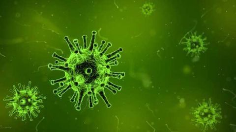 Tethered Antibodies may be Solution to Effective Flu Prevention