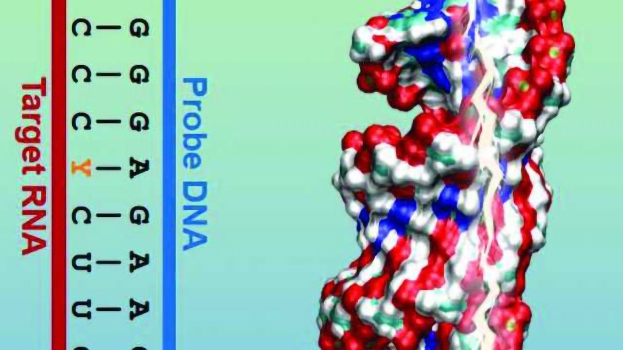 E.coli Detection Goes Hi-tech