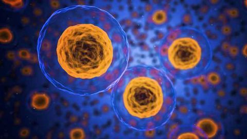 Potential Path for Countering Oxidative Stress in a Range of Diseases