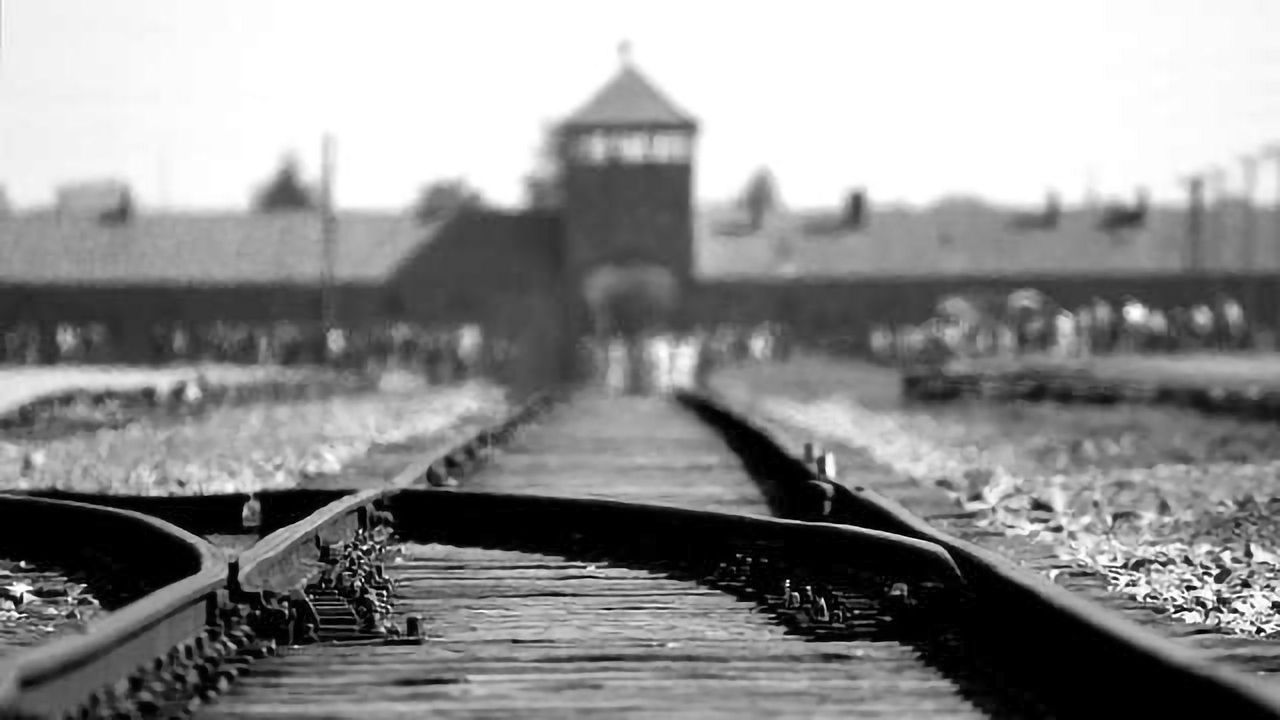 Potential Holocaust Mass Grave Identified in Lithuania
