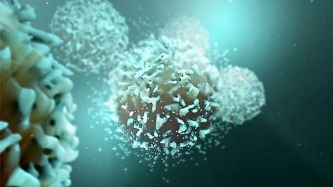 Developing Therapies to Fight Cancer and Autoimmune Diseases