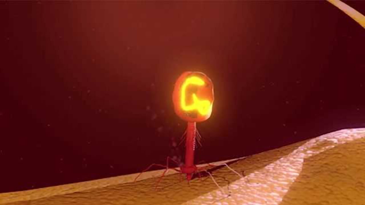 Bacteriophage – A Virus that Infects Microbes