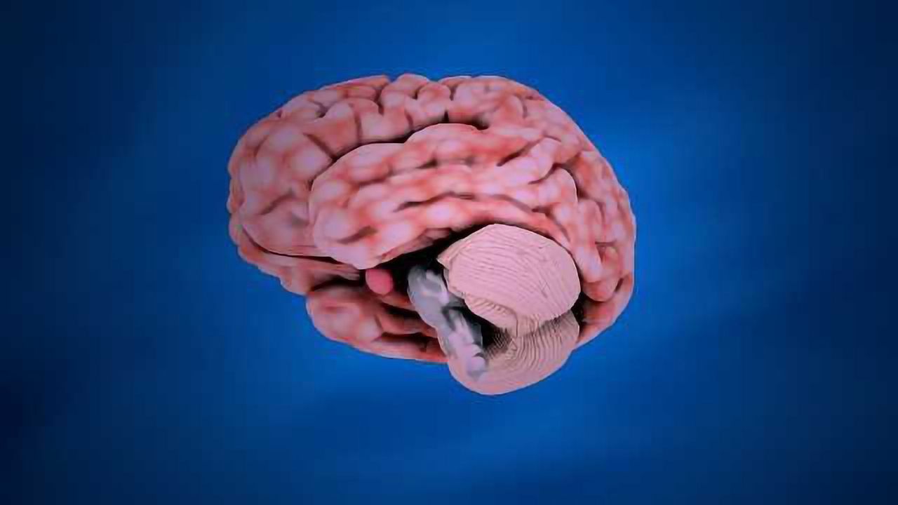 Key Molecule Responsible for Learning and Memory Discovered