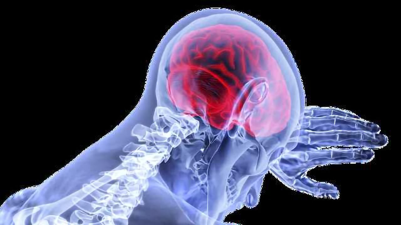 Researchers Develop New Test to Objectively Measure Pain, Test Medications
