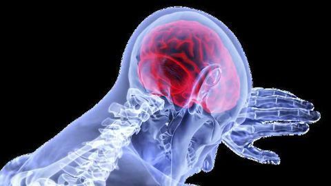 Researchers Develop New Test to Objectively Measure Pain, Test Medications