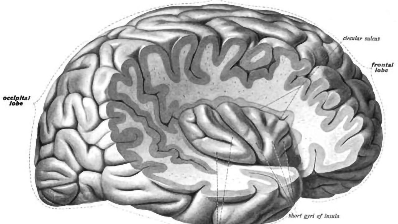 Study Shows Potential to Develop Brain Tumour Liquid Biopsies