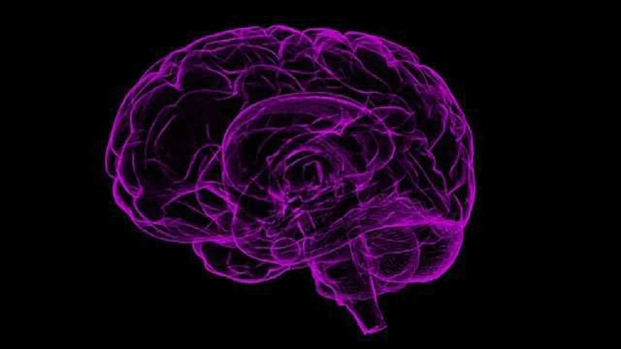 Brain-derived Compounds Have Surprising Effect on Cancer Cells