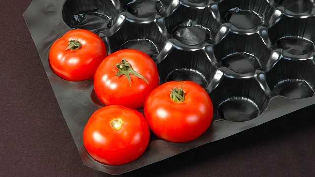 Safe Alternatives to Phthalates Used in Plastics Developed
